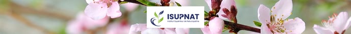 EDU24-ISUPNAT-banner-LPMag (1)